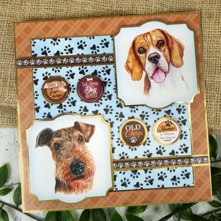 Hunkydory Pawsome Portraits Eat, Sleep, Dog, Repeat Card Topper Sheet 2023